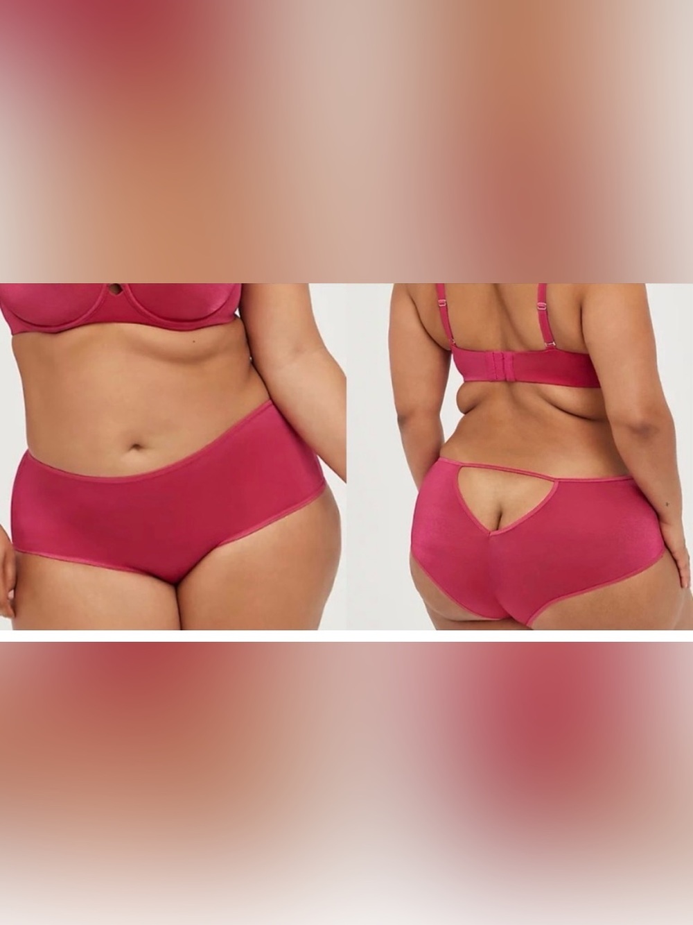 Torrid Curve GLOSSY MESH MID-RISE KEYHOLE CHEEKY PANTY Size 2X